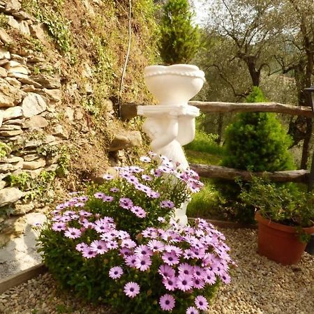 Casa Vacanze Sole Borghetto d'Arroscia Екстериор снимка