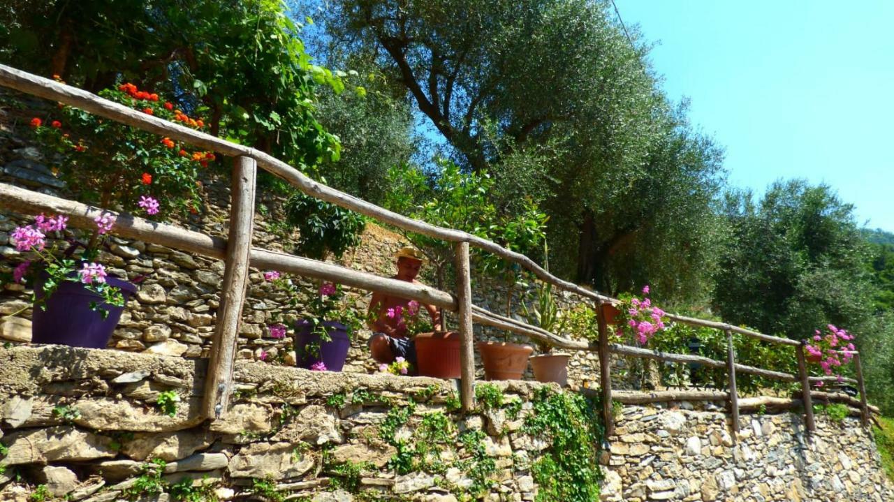 Casa Vacanze Sole Borghetto d'Arroscia Екстериор снимка